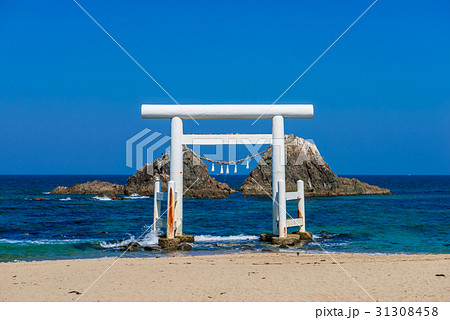 糸島の白い鳥居と夫婦岩 31308458