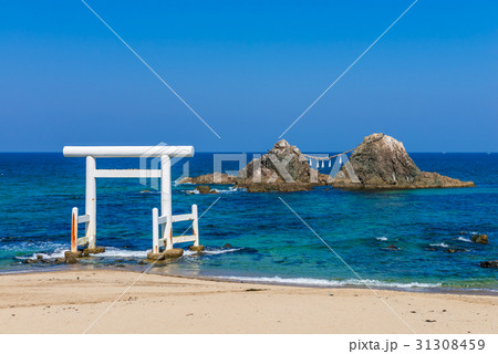 糸島の白い鳥居と夫婦岩 31308459
