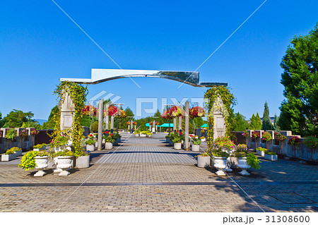 宇治市植物公園フラワーブリッジ 宇治市植物公園フラワーブリッジ 31308600