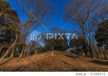 冬の龍角寺古墳群の風景 31309272