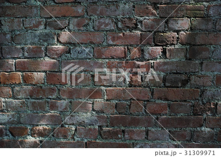 横浜　山手80番館遺跡　煉瓦の壁 31309971