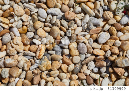 Stones on a beach 31309999