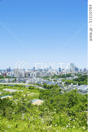 仙台市全景 31310764
