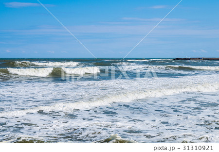 東京オリンピック会場 釣ヶ崎海岸 (千葉県一宮町) ※2017年3月撮影 東京オリンピック会場 釣ヶ崎海岸 (千葉県一宮町) ※2017年3月撮影 31310921