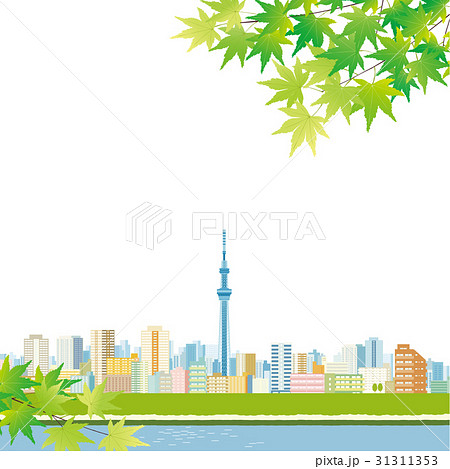 青もみじとスカイツリー 31311353