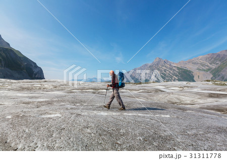 Hike in Alaska 31311778