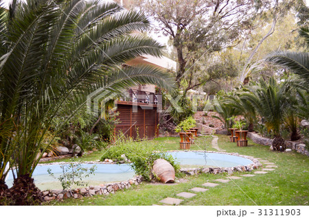 Small tropical garden with a body of water 31311903