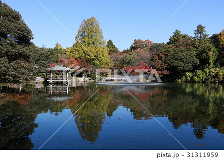 ［富山県］高岡古城公園（秋） 31311959