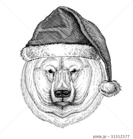Polar bear wearing christmas hat New year eve Polar bear wearing christmas hat New year eve 31312577