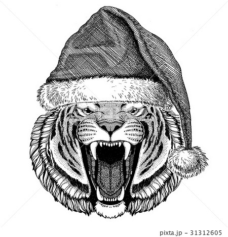 Wild tiger wearing christmas hat New year eve 31312605