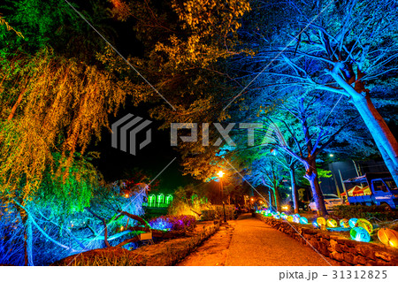 アジア人 アジアン アジア風 31312825