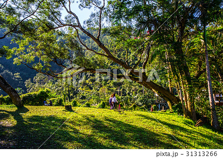 アジア人 アジアン アジア風 31313266