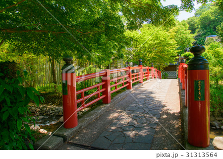 伊豆修善寺、桂川にかかる楓橋 31313564