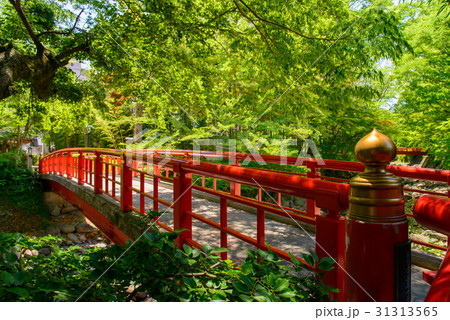 伊豆修善寺、桂川にかかる楓橋 31313565