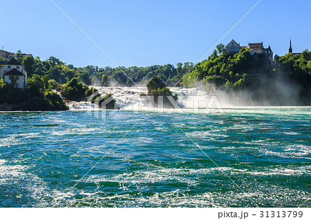 View of Rhine falls (Rheinfalls). 31313799