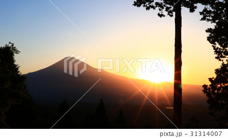 白鳥山から富士山と朝日 31314007