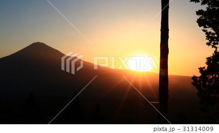 白鳥山から富士山と朝日 31314009