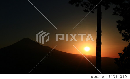 白鳥山から富士山と朝日 31314010