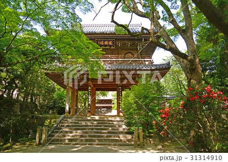 功山寺山門 31314910