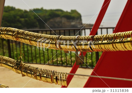 恋叶ロード 31315836