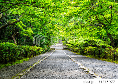 京都 嵯峨野 二尊院 京都 嵯峨野 二尊院 31315977