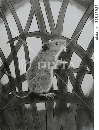 満月とカヤネズミ（鉛筆画） 31315982