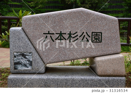 六本杉公園 八王子市の初夏はこんな感じ 六本杉公園 八王子市の初夏はこんな感じ 31316534