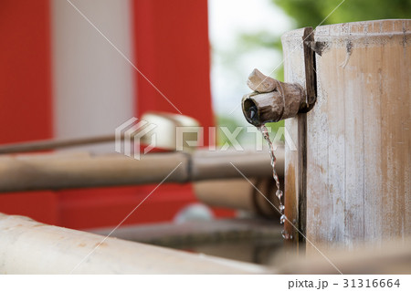 神社への参拝 お清めの水 神社への参拝 お清めの水 31316664