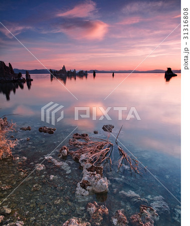 Mono Lake California 31316808