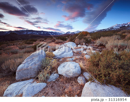 Buttermilk Hill in Bishop California Buttermilk Hill in Bishop California 31316954