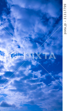 6月の空と雲 （縦） 31317799