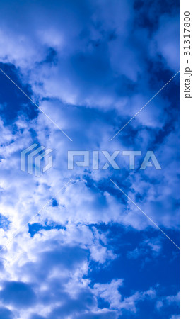 6月の空と雲 (縦) 6月の空と雲 (縦) 31317800