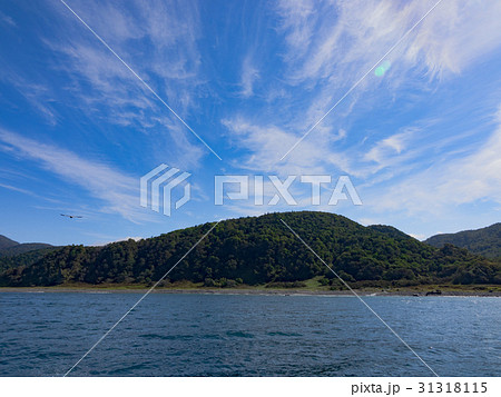知床半島の海 知床半島の海 31318115