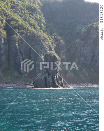 知床半島の海 31318120