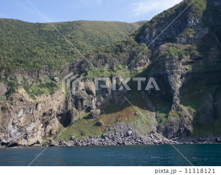 知床半島の海 31318121