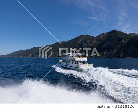 知床半島の海 知床半島の海 31318126