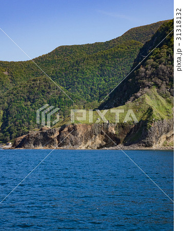 知床半島の海 知床半島の海 31318132