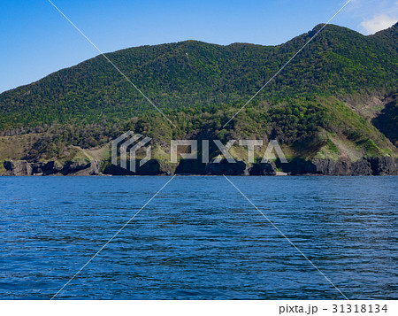 知床半島の海 知床半島の海 31318134