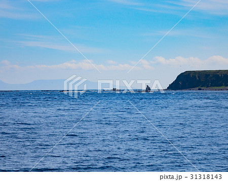 知床半島の海 31318143