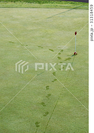 朝露で足跡が残るアプローチ練習場 31318459