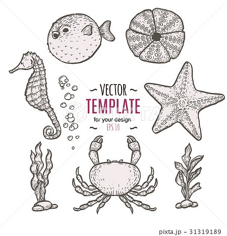 Hand drawn sea life illustration. Sketch template Hand drawn sea life illustration. Sketch template 31319189