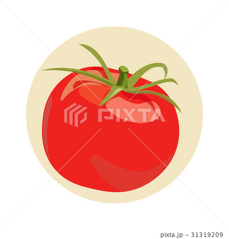 Fresh Tomato icon. Organic tomato isolated. Vector illustration. 31319209