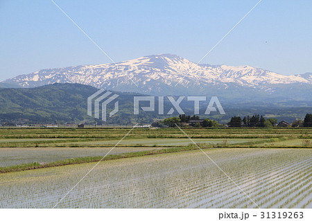 残雪の月山と庄内平野 31319263