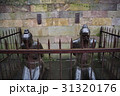 杭州 31320176