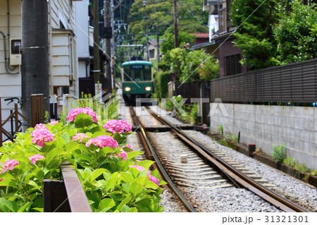 あじさい 鉄道 観光 ローカル線 単線 初夏 6月 背景素材 コピー 壁紙 梅雨 鎌倉 紫陽花 観光の写真素材