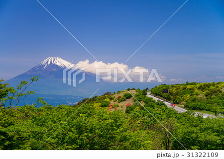 ツツジ咲く伊豆スカイライン道路から富士山を望む 31322109
