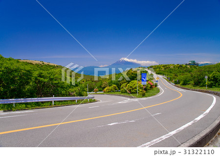 ツツジ咲く伊豆スカイライン道路から富士山を望む 31322110