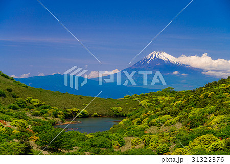 ツツジ咲く箱根玄岳から富士山を望む 31322376