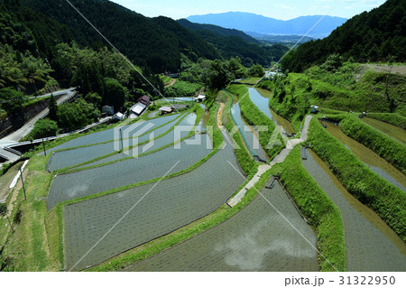 明日香の田園風景 31322950