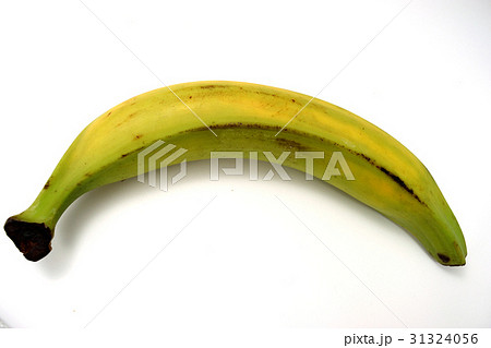 プラタノ プラタノ 31324056